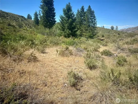 2 Alder Road Twisp WA 98856