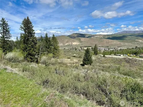 2 Alder Road Twisp WA 98856