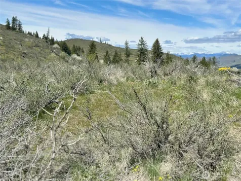 2 Alder Road Twisp WA 98856