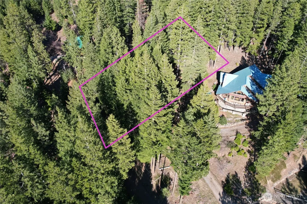 100 Lakeview Drive Ronald WA 98940