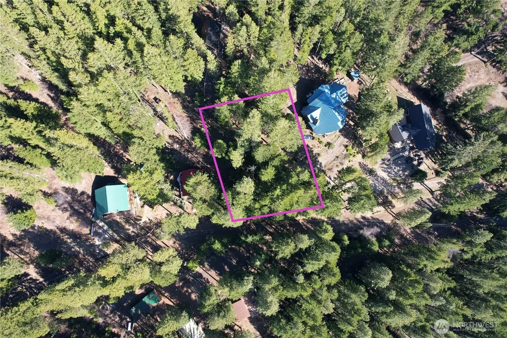 100 Lakeview Drive Ronald WA 98940