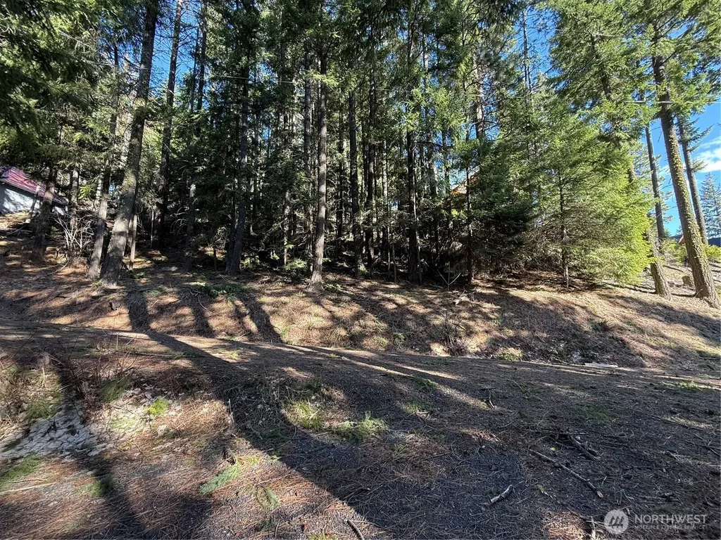 100 Lakeview Drive Ronald WA 98940