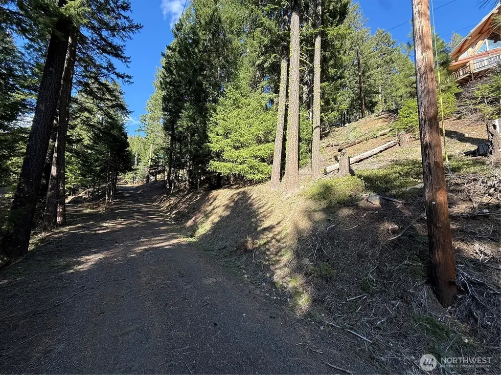 100 Lakeview Drive Ronald WA 98940