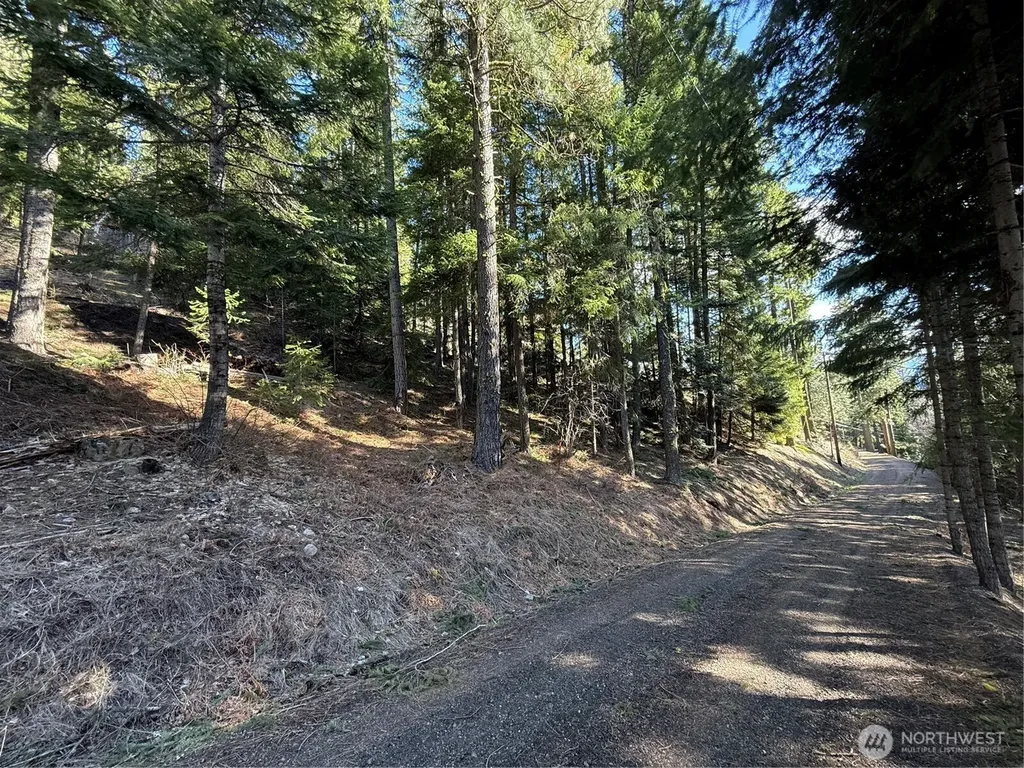 100 Lakeview Drive Ronald WA 98940