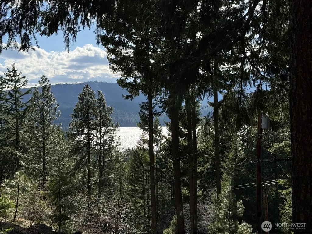 100 Lakeview Drive Ronald WA 98940