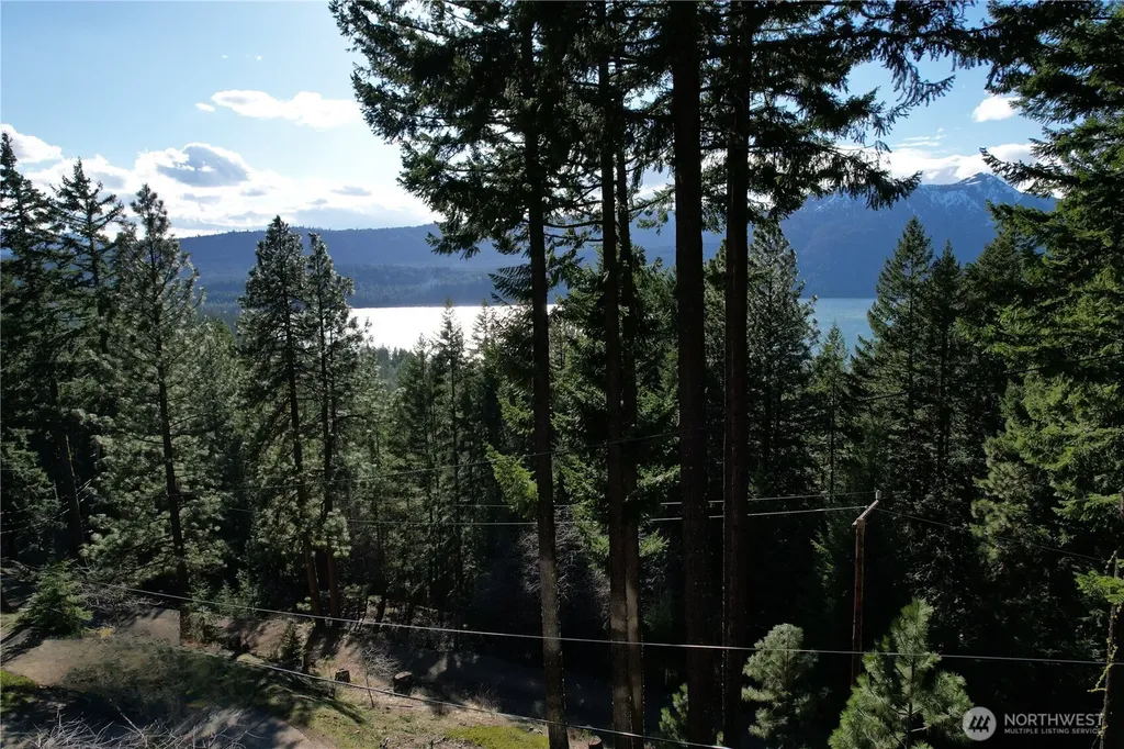 100 Lakeview Drive Ronald WA 98940