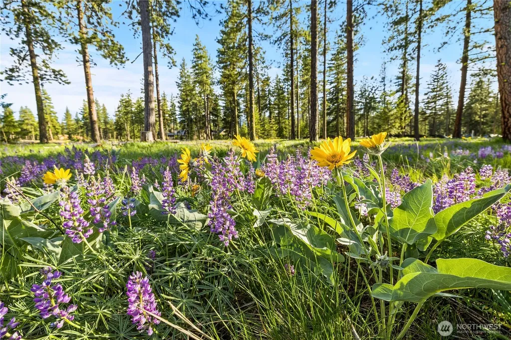 60 Wanawish Loop Cle Elum WA 98922