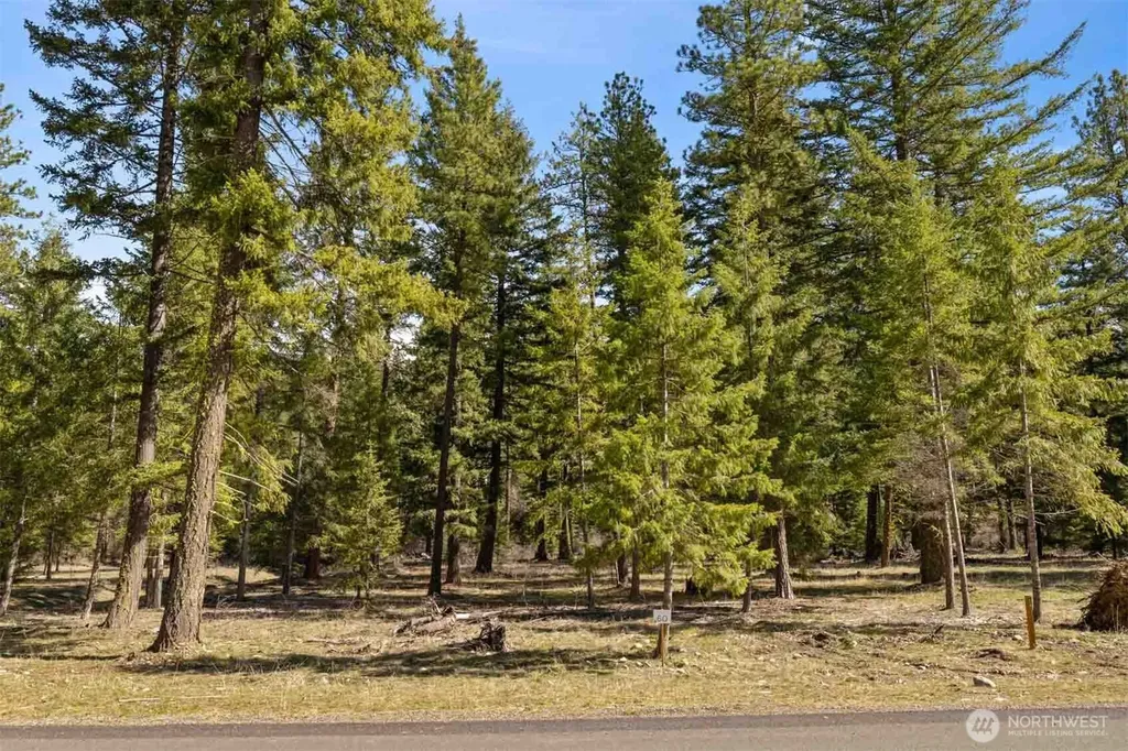 60 Wanawish Loop Cle Elum WA 98922