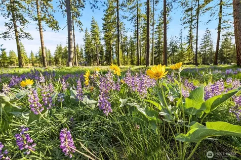60 Wanawish Loop Cle Elum WA 98922