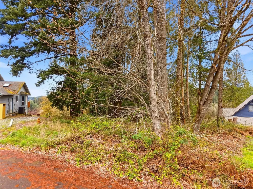 2411 Lakeview Court SW Olympia WA 98512