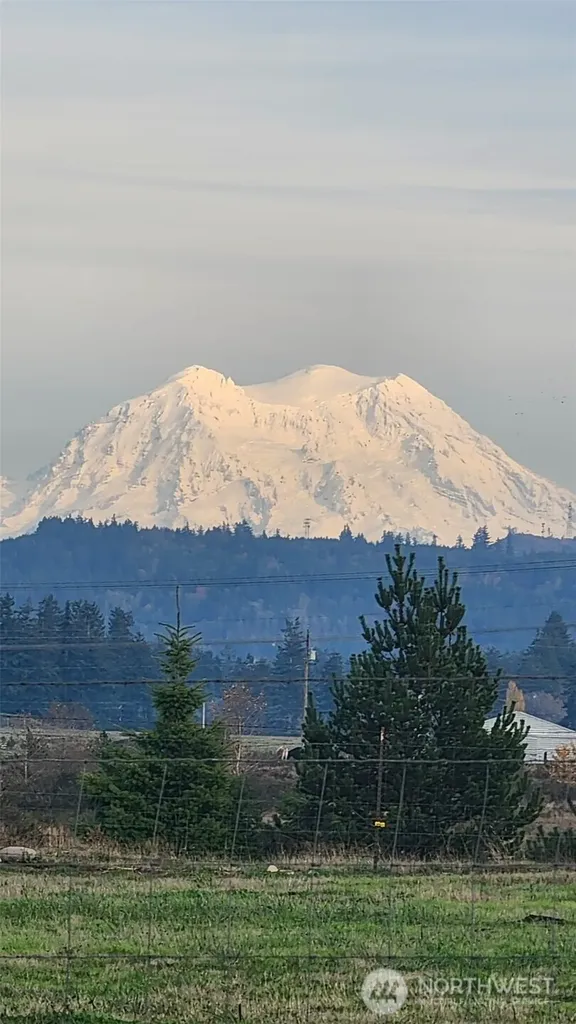 16826 Sheldon Lane SW Rochester WA 98579