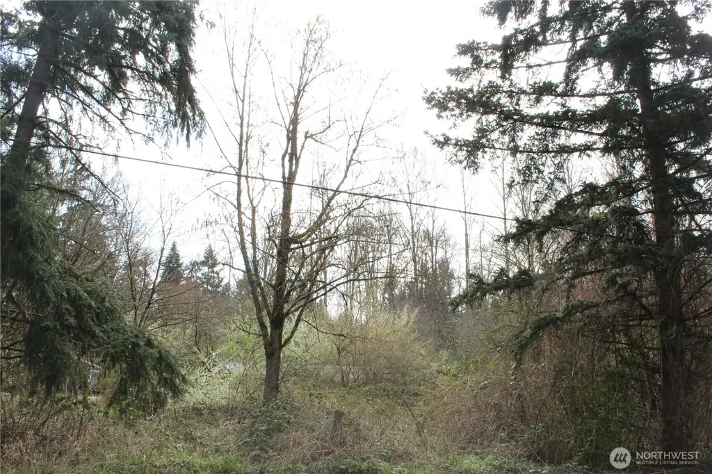0 121 Street E Tacoma WA 98445