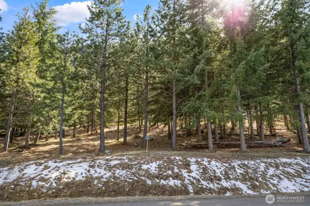 70 Liberty Bell Lane Cle Elum WA 98922
