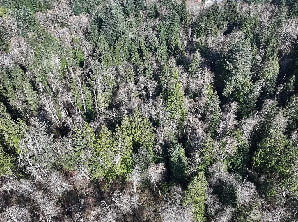 0 Sr 525 Langley WA 98260