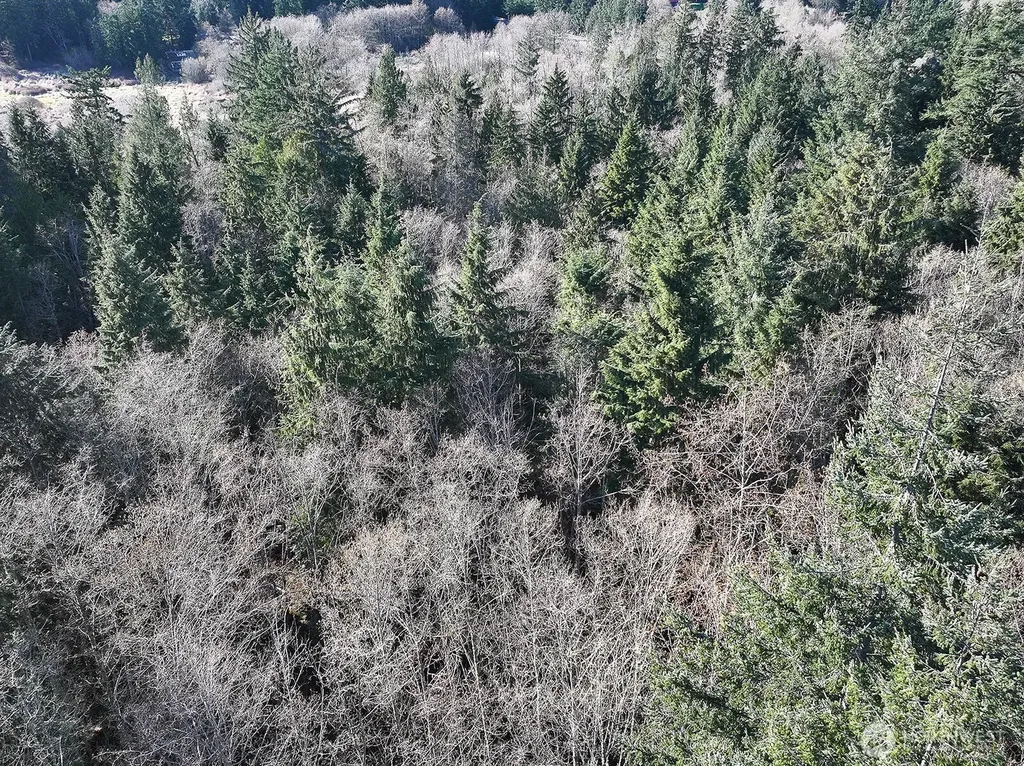 0 Sr 525 Langley WA 98260