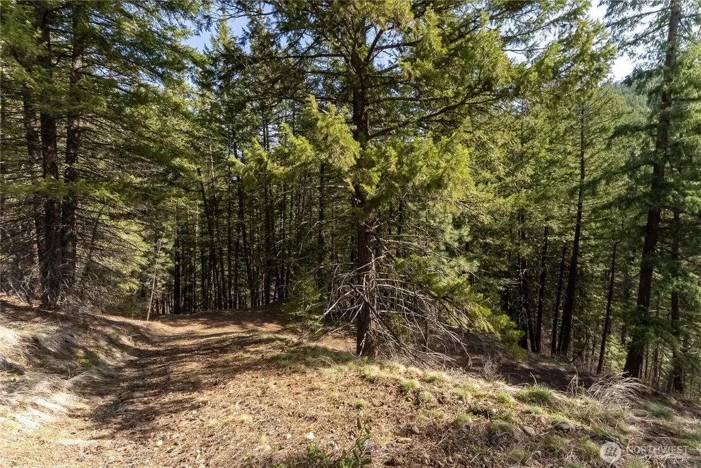 26 Smith Canyon Road Carlton WA 98814