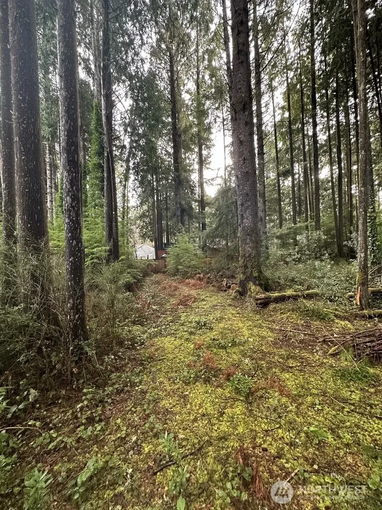 44 Robin Lane Pacific Beach WA 98571