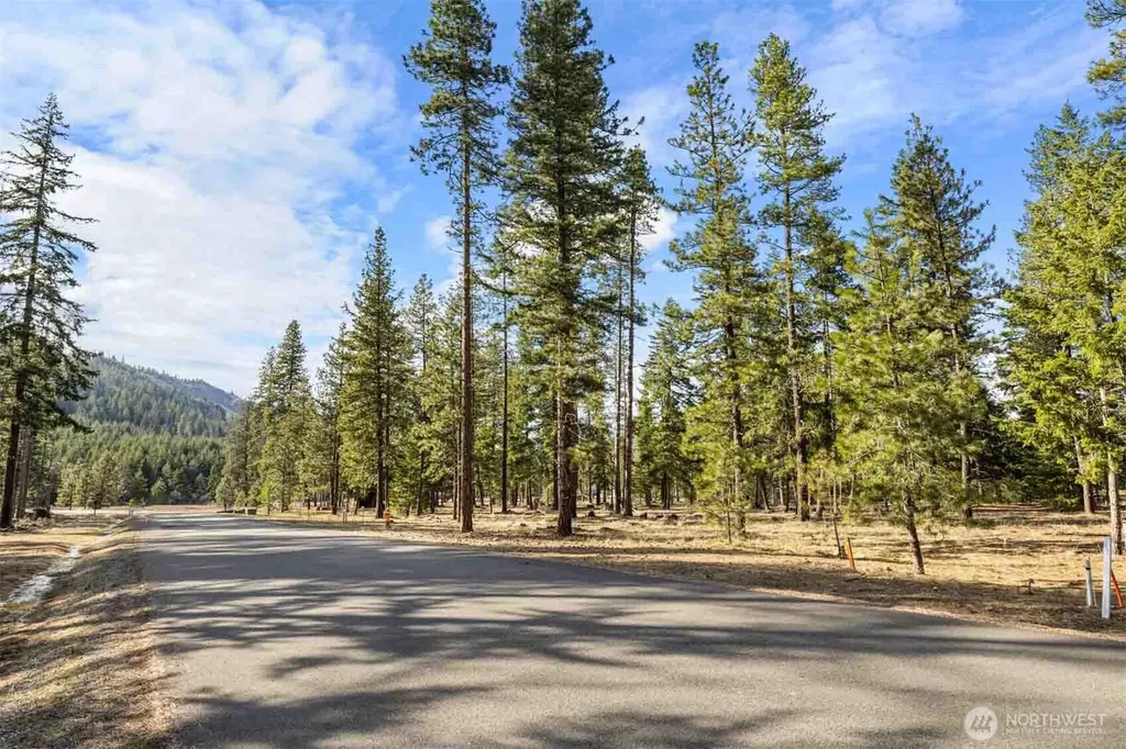 31 Domerie Park Loop Cle Elum WA 98922