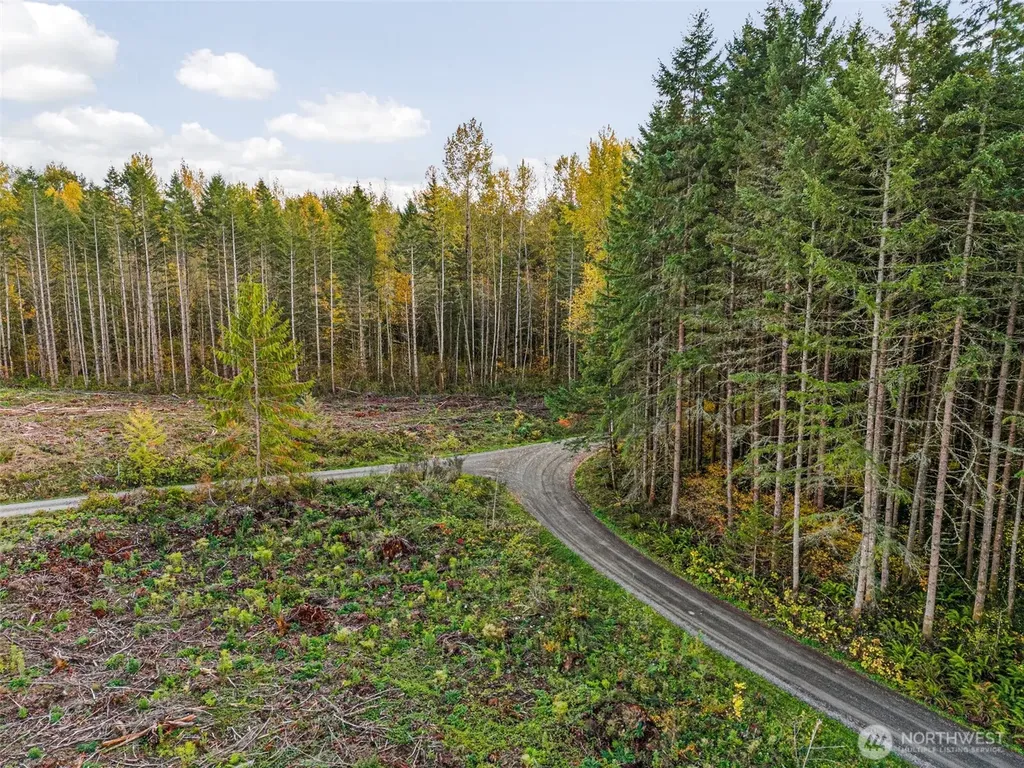 1 16th Avenue E Roy WA 98580