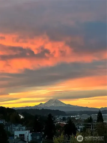 5560 15th Avenue S Seattle WA 98108