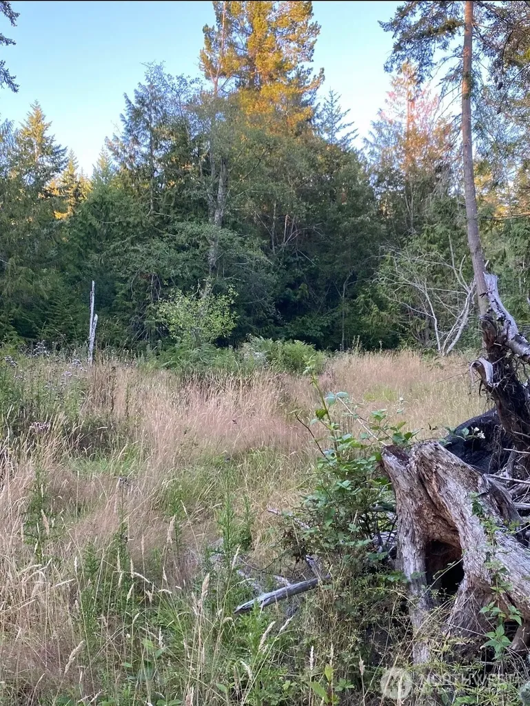 121 N Bagley Creek Road Port Angeles WA 98362