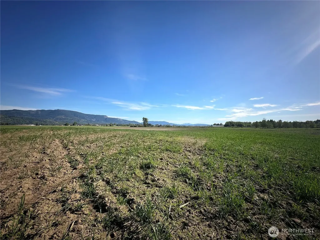 0 Clearbrook Road Sumas WA 98295