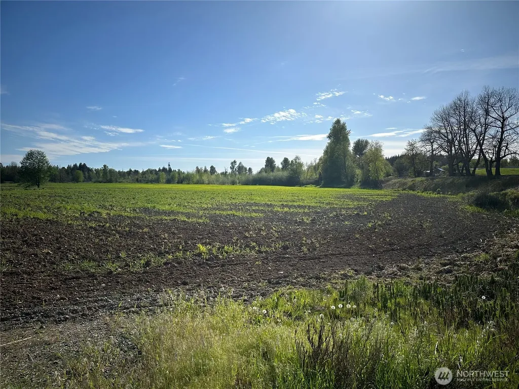 0 Clearbrook Road Sumas WA 98295