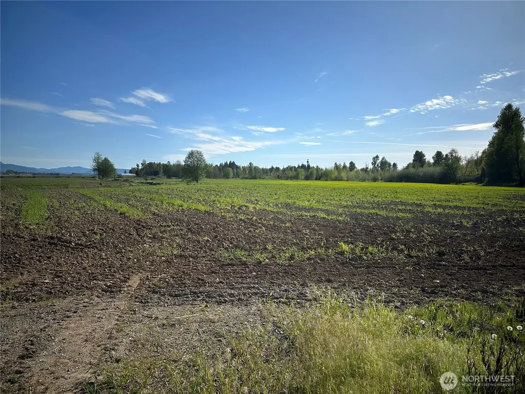 0 Clearbrook Road Sumas WA 98295
