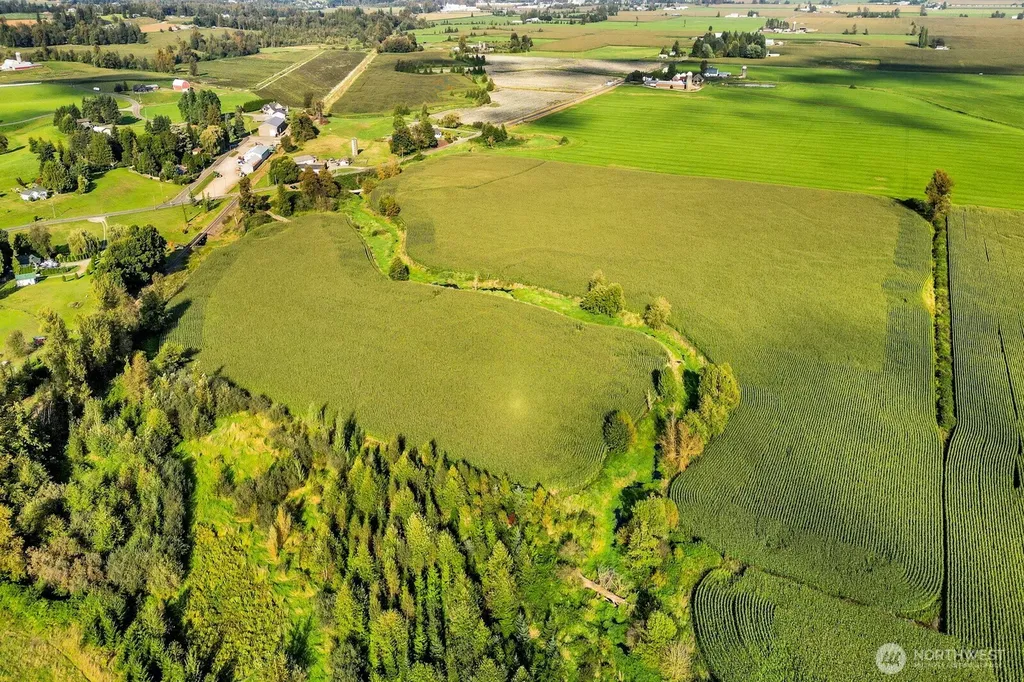 0 Clearbrook Road Sumas WA 98295