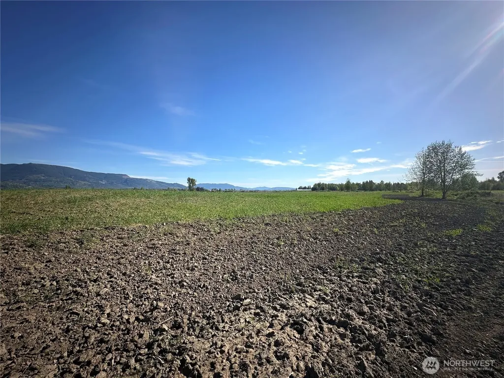 0 Clearbrook Road Sumas WA 98295