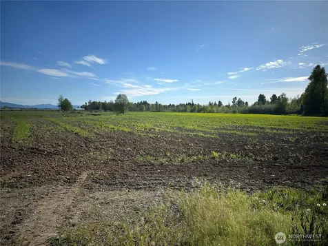 0 Clearbrook Road Sumas WA 98295