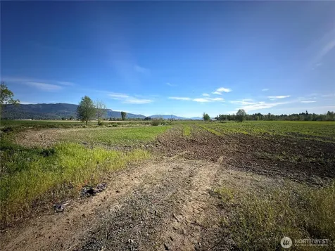 0 Clearbrook Road Sumas WA 98295