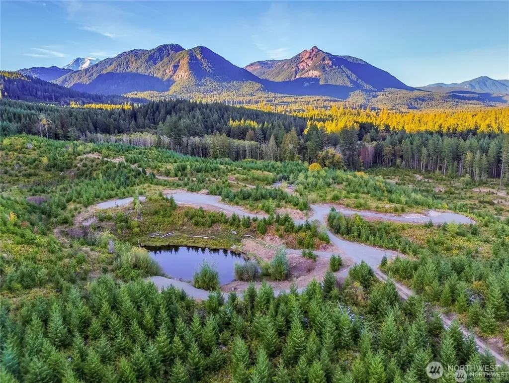 294 Hardy Lane Packwood WA 98361