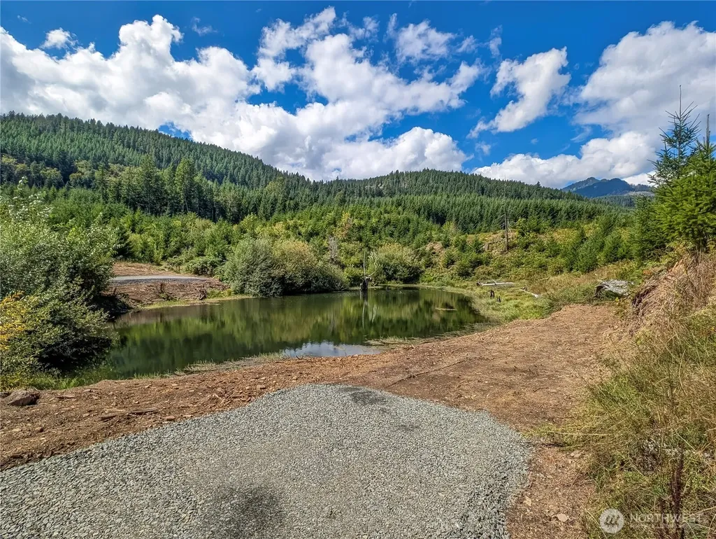 294 Hardy Lane Packwood WA 98361