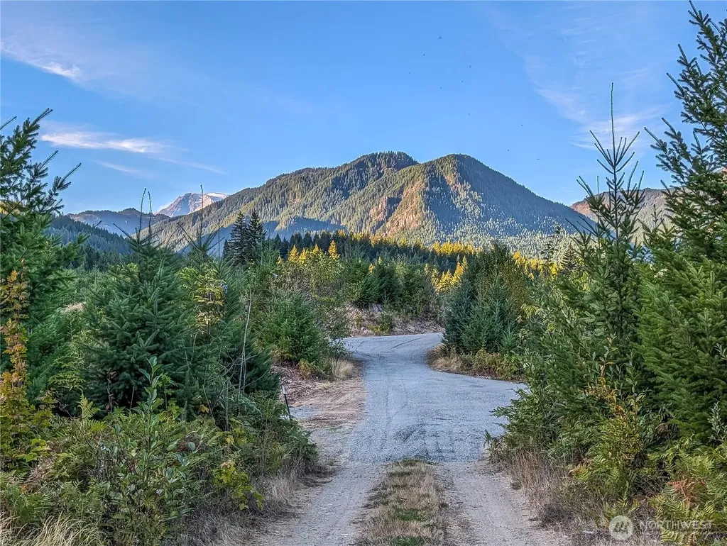 294 Hardy Lane Packwood WA 98361