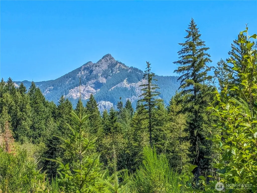 294 Hardy Lane Packwood WA 98361