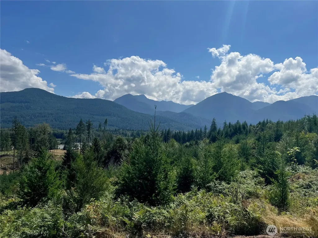 294 Hardy Lane Packwood WA 98361