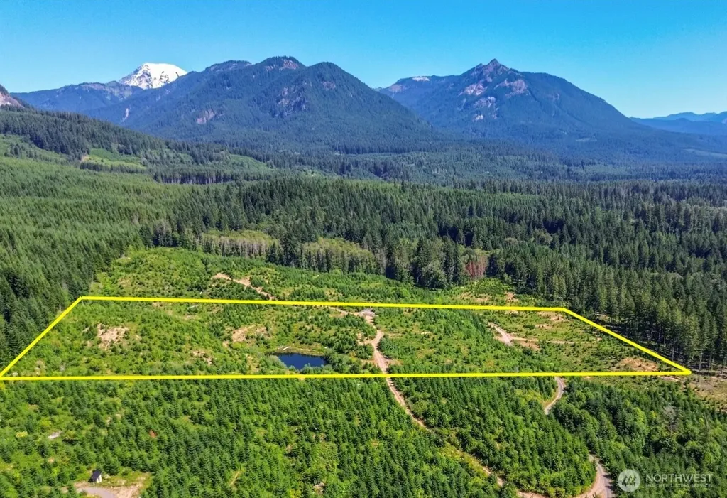 294 Hardy Lane Packwood WA 98361