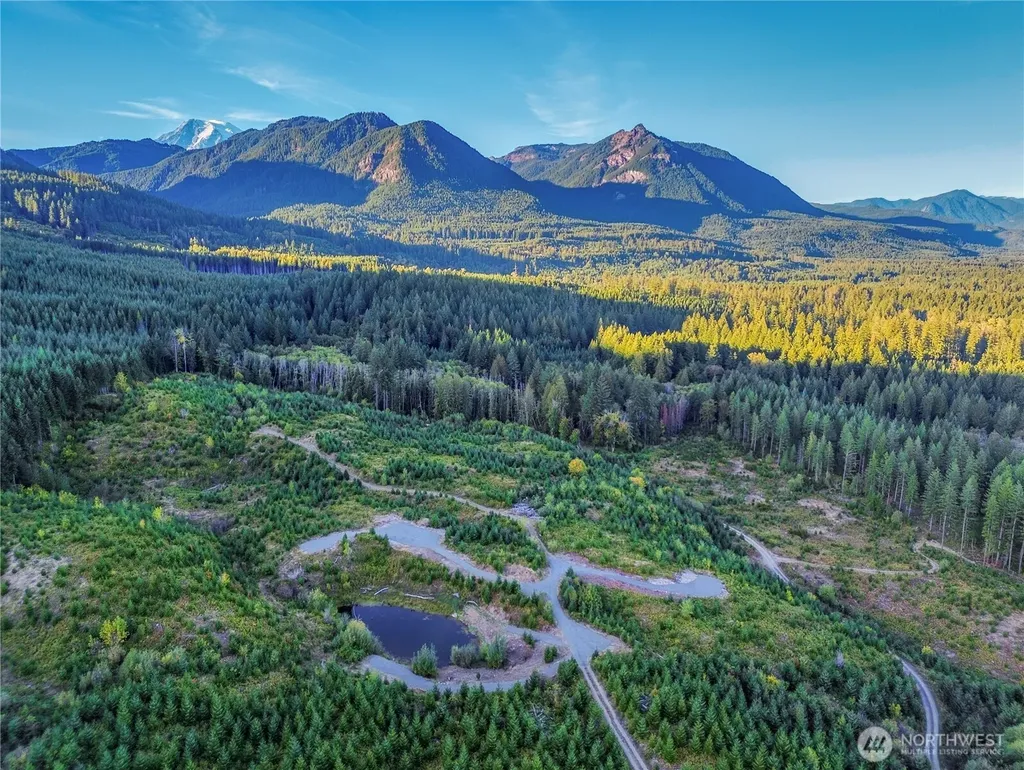 294 Hardy Lane Packwood WA 98361