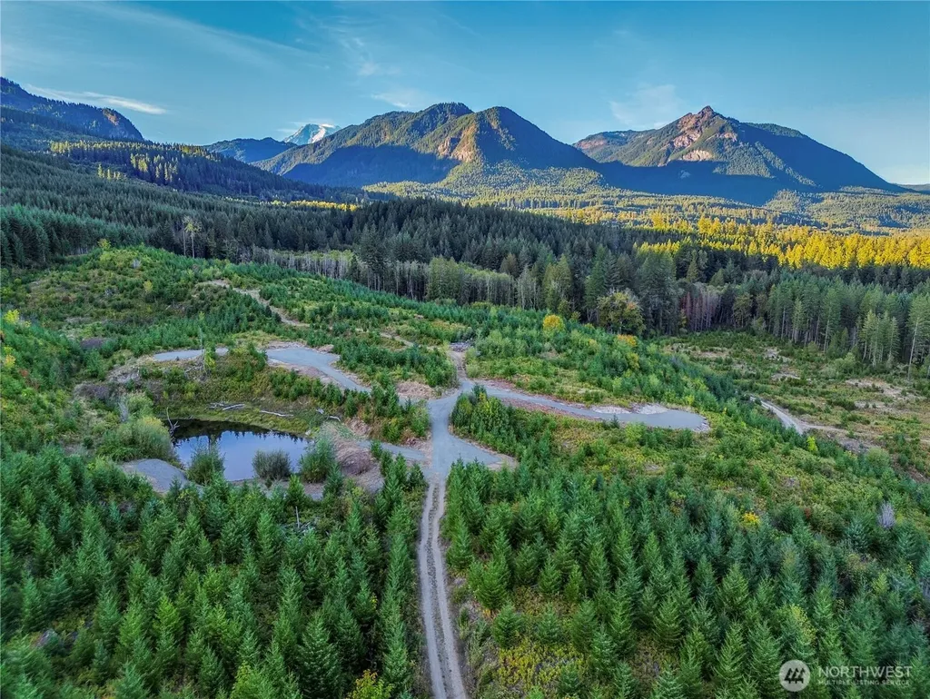 294 Hardy Lane Packwood WA 98361