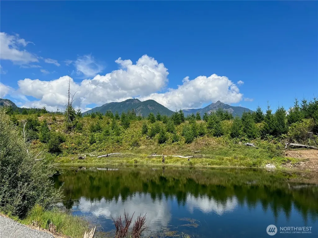 294 Hardy Lane Packwood WA 98361