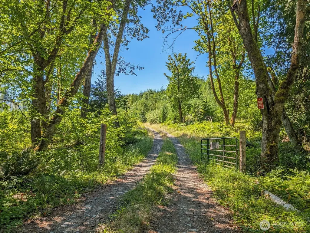 294 Hardy Lane Packwood WA 98361