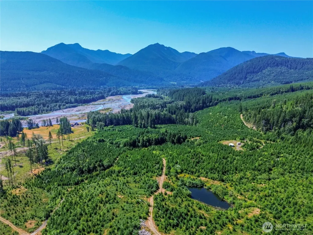 294 Hardy Lane Packwood WA 98361