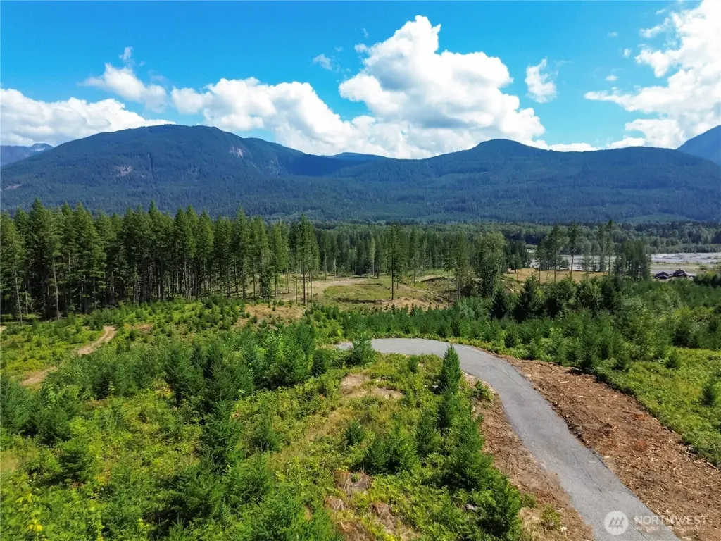294 Hardy Lane Packwood WA 98361