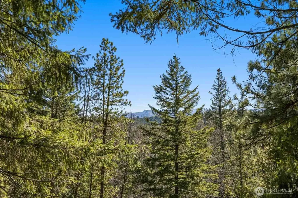 36 Wanawish Loop Cle Elum WA 98922
