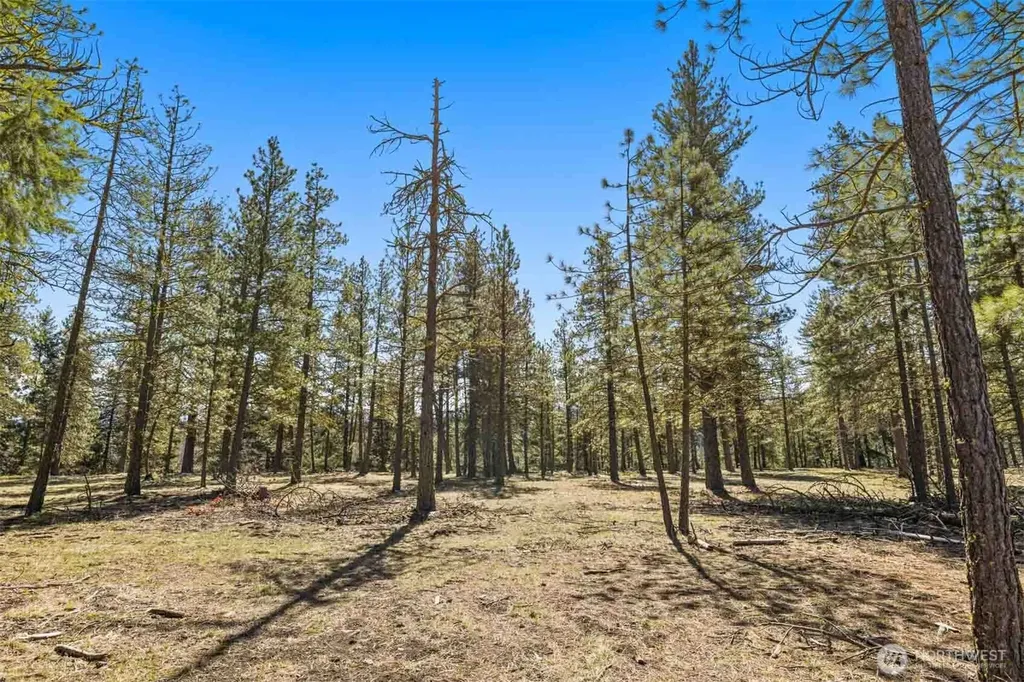 36 Wanawish Loop Cle Elum WA 98922