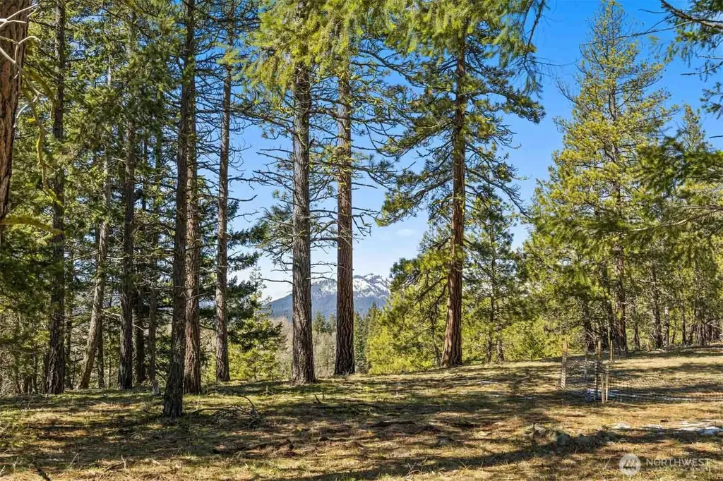 36 Wanawish Loop Cle Elum WA 98922
