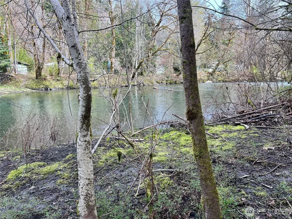 680 Mountain Trail Brinnon WA 98320