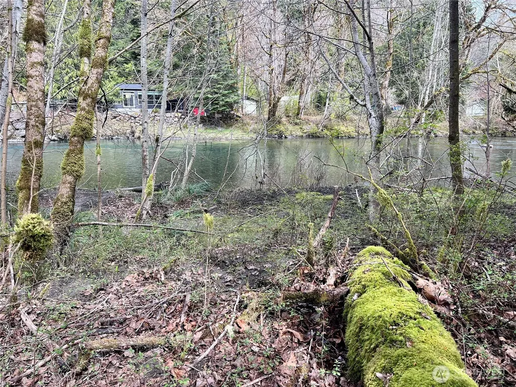 680 Mountain Trail Brinnon WA 98320