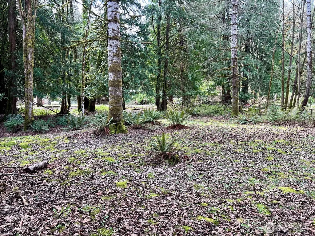 680 Mountain Trail Brinnon WA 98320